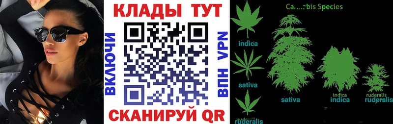 Продажа наркотиков Белёв Cocaine ГАШИШ АМФ Галлюциногенные грибы МАРИХУАНА