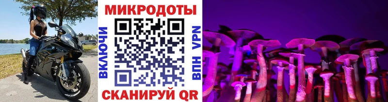 блэк спрут маркетплейс  Белёв  Галлюциногенные грибы прущие грибы 