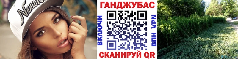 Конопля сатива Белёв